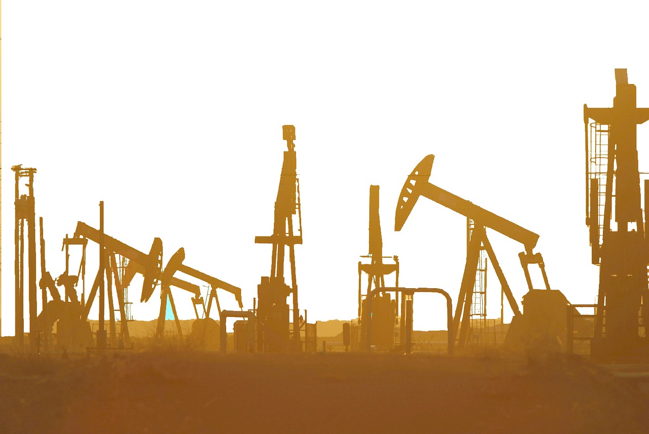 A Short-Term Trade Opportunity: Gokul Agro Resources