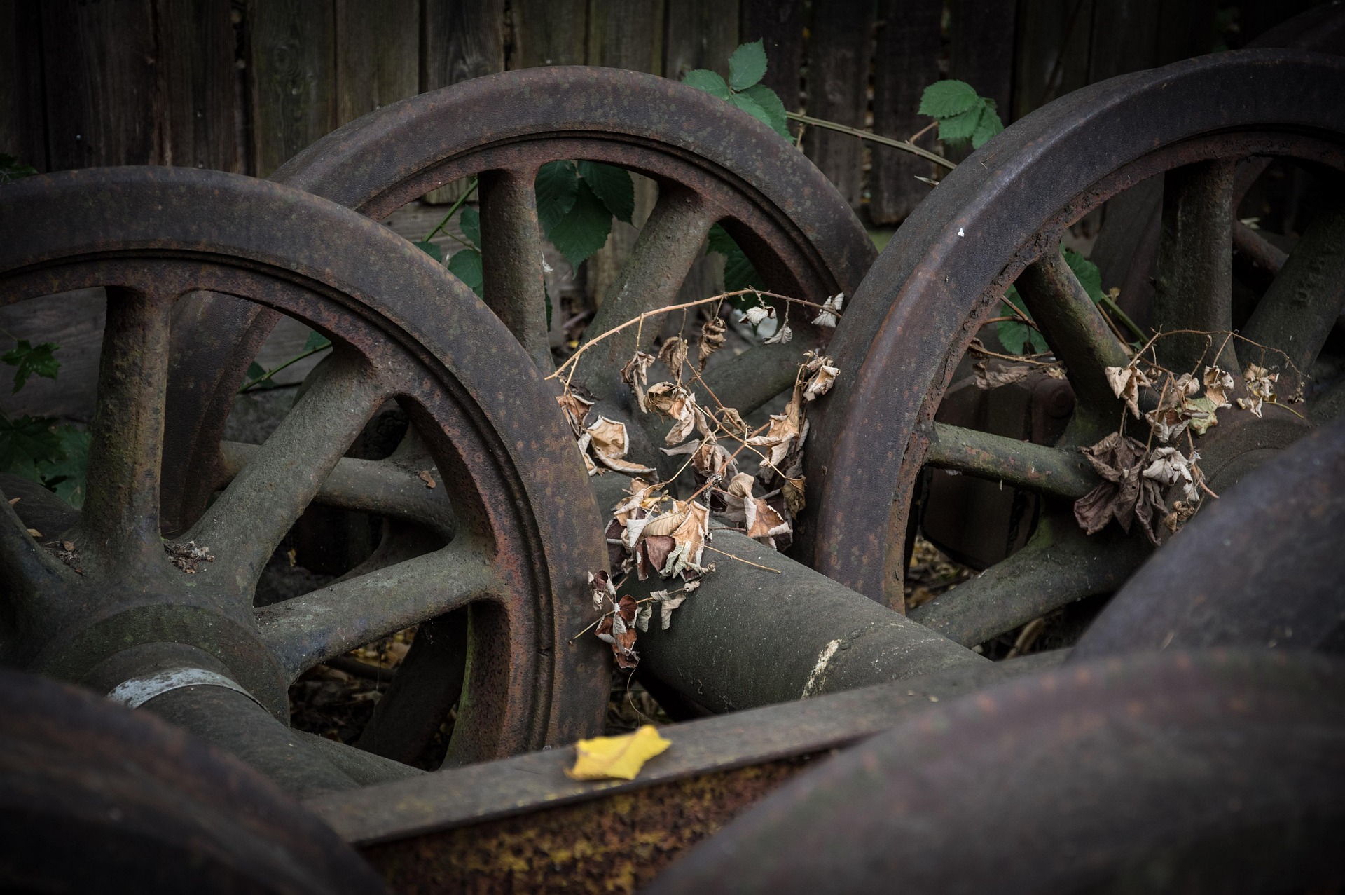 Balu Forge Industries: From Capitulation to Consolidation- Is the Groundwork for the Next Upmove Taking Shape?